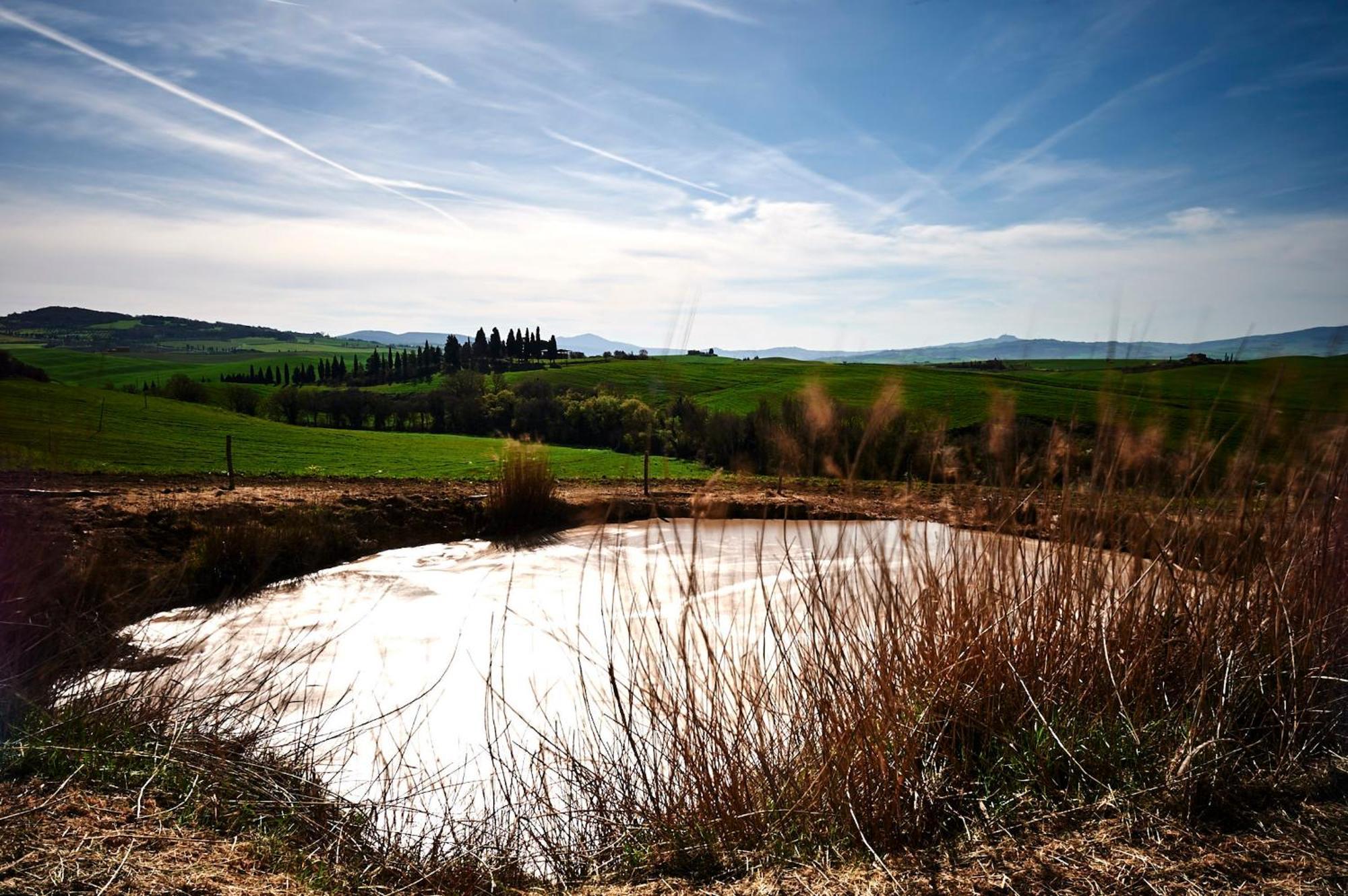 Villa Agriturismo Il Casalino Pienza Exterior foto